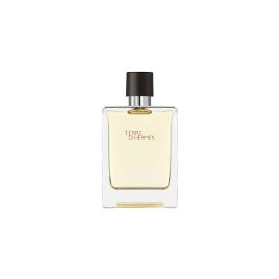 Terre D'Hermès Eau De Toilette Vaporizador